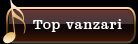 Top vanzari