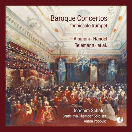 Joachim Schafer - Baroque Concertos For Pic (1 CD)