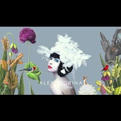 Alexandrina - Flori de Spin