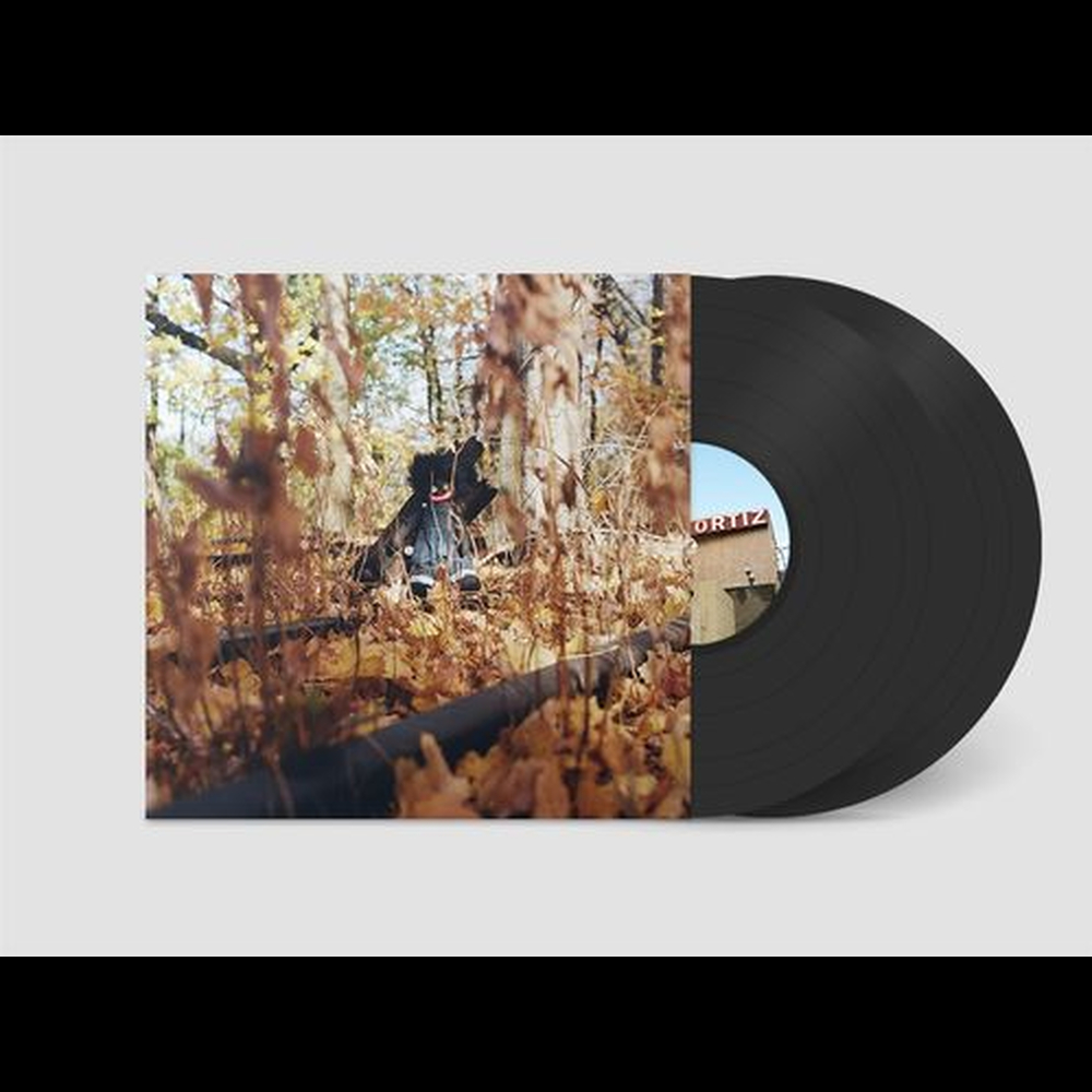 Billy Woods - Golliwog – NicheRecords.ro