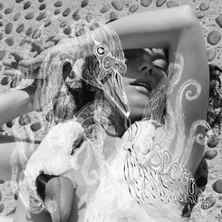 Bjork - Vespertine