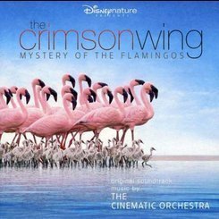 Cinematic Orchestra - The Crimson Wing-Mystery Of The Flamingos