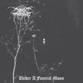 Darkthrone - Under A Funeral Moon