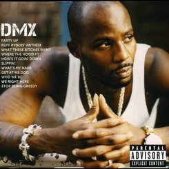 DMX - Icon