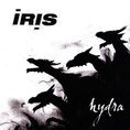 Iris - Hydra