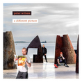 Peter Wilson - A Different Picture