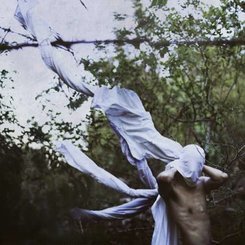 Petre Inspirescu - Vin Ploile