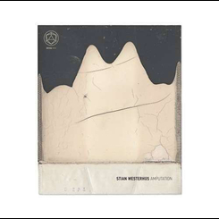 Stian Westerhus - Amputation