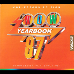 V/A - Now Yearbook Extra 87
