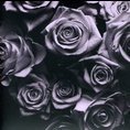 Zomby - With Love